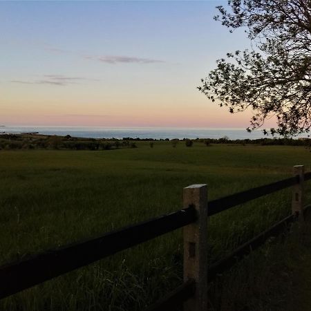 Moneylands Farm B&B Arklow Bagian luar foto