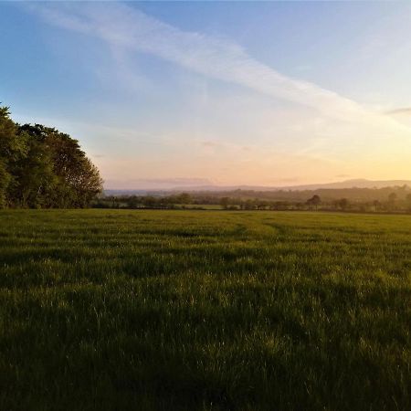 Moneylands Farm B&B Arklow Bagian luar foto