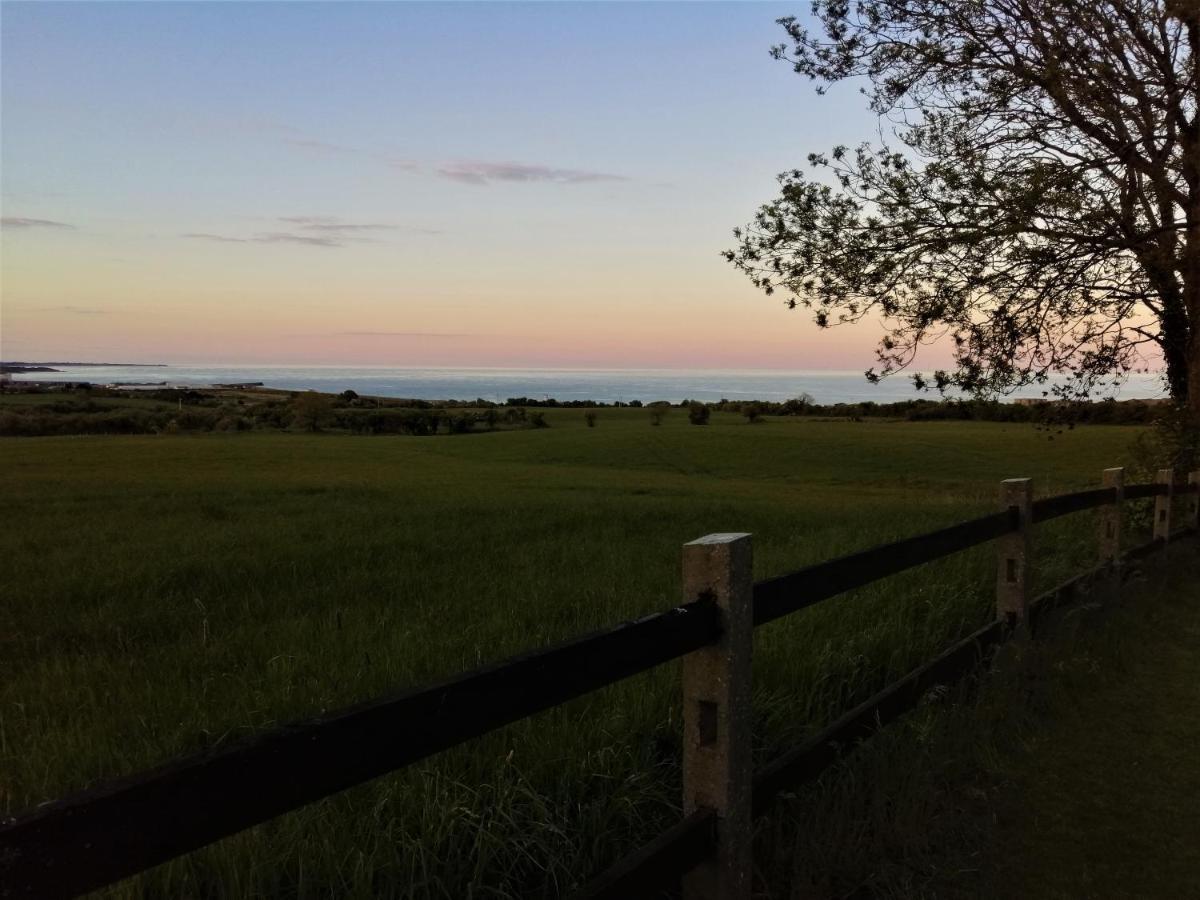 Moneylands Farm B&B Arklow Bagian luar foto