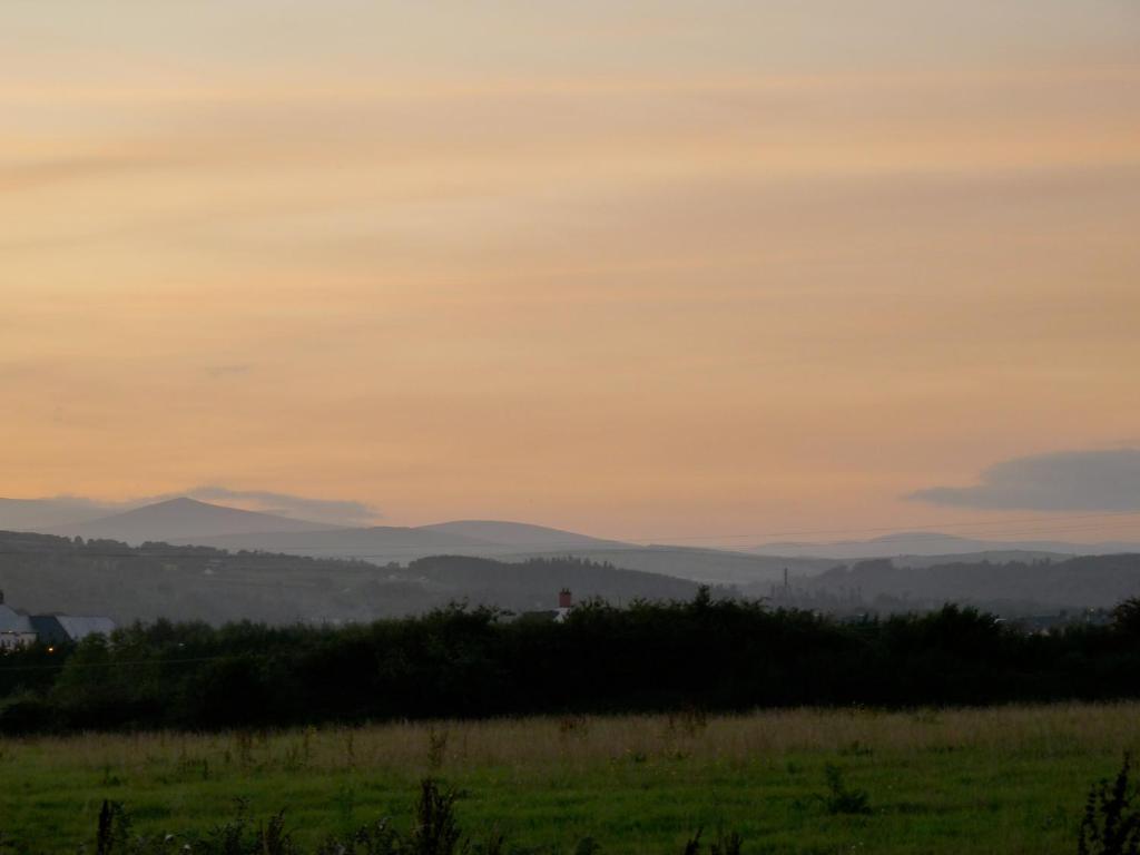 Moneylands Farm B&B Arklow Bagian luar foto