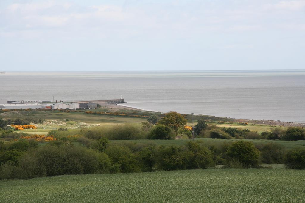 Moneylands Farm B&B Arklow Bagian luar foto